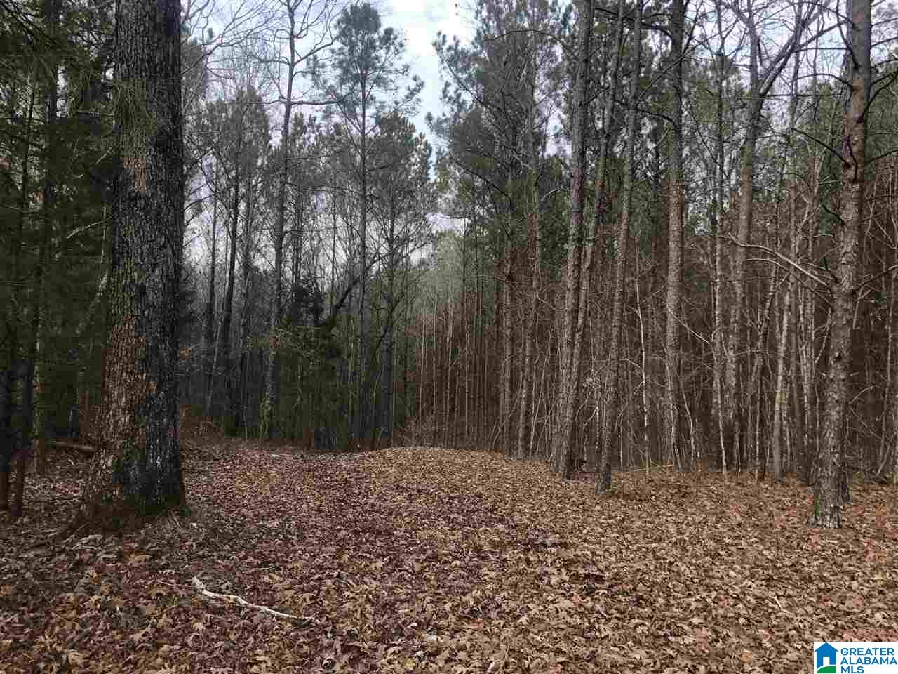 Slick Lizzard Road, Unit 1 Nauvoo, AL 35578 - Photo 8 of 8