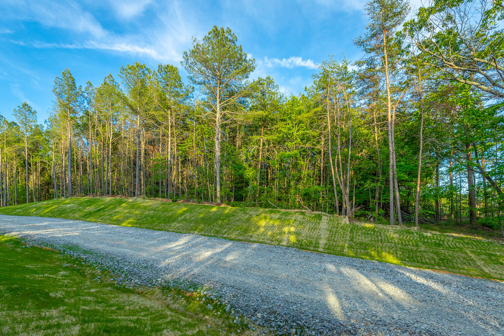 0 Cannon Way, Unit LOT 1317 Guild, TN 37340 - Photo 11 of 99 0 Cannon Way - Lot 1317 HD-56