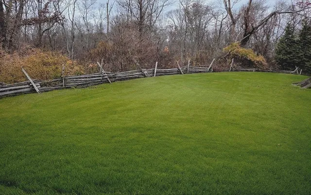 a view of a field of grass and trees