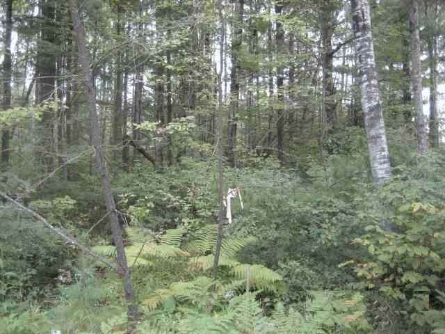 Off Sandy Beach Road Park Falls, WI 54552 - Photo 2 of 7 Gallery Image 2
