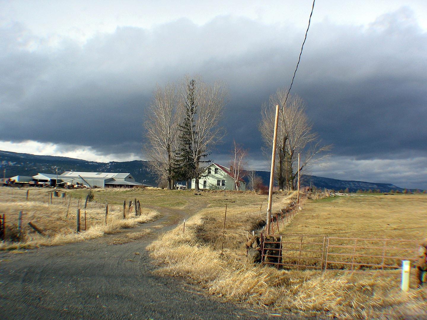 Primary Photo