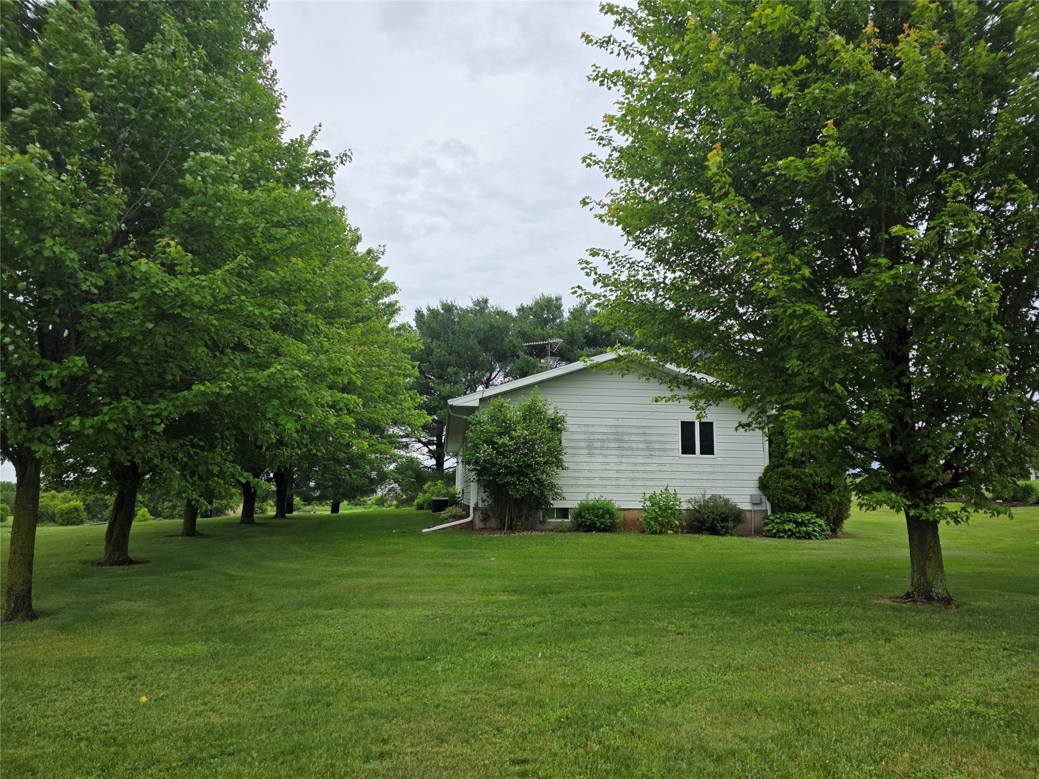 12828 South Schultz Road Osseo, WI 54758 - Photo 6 of 28