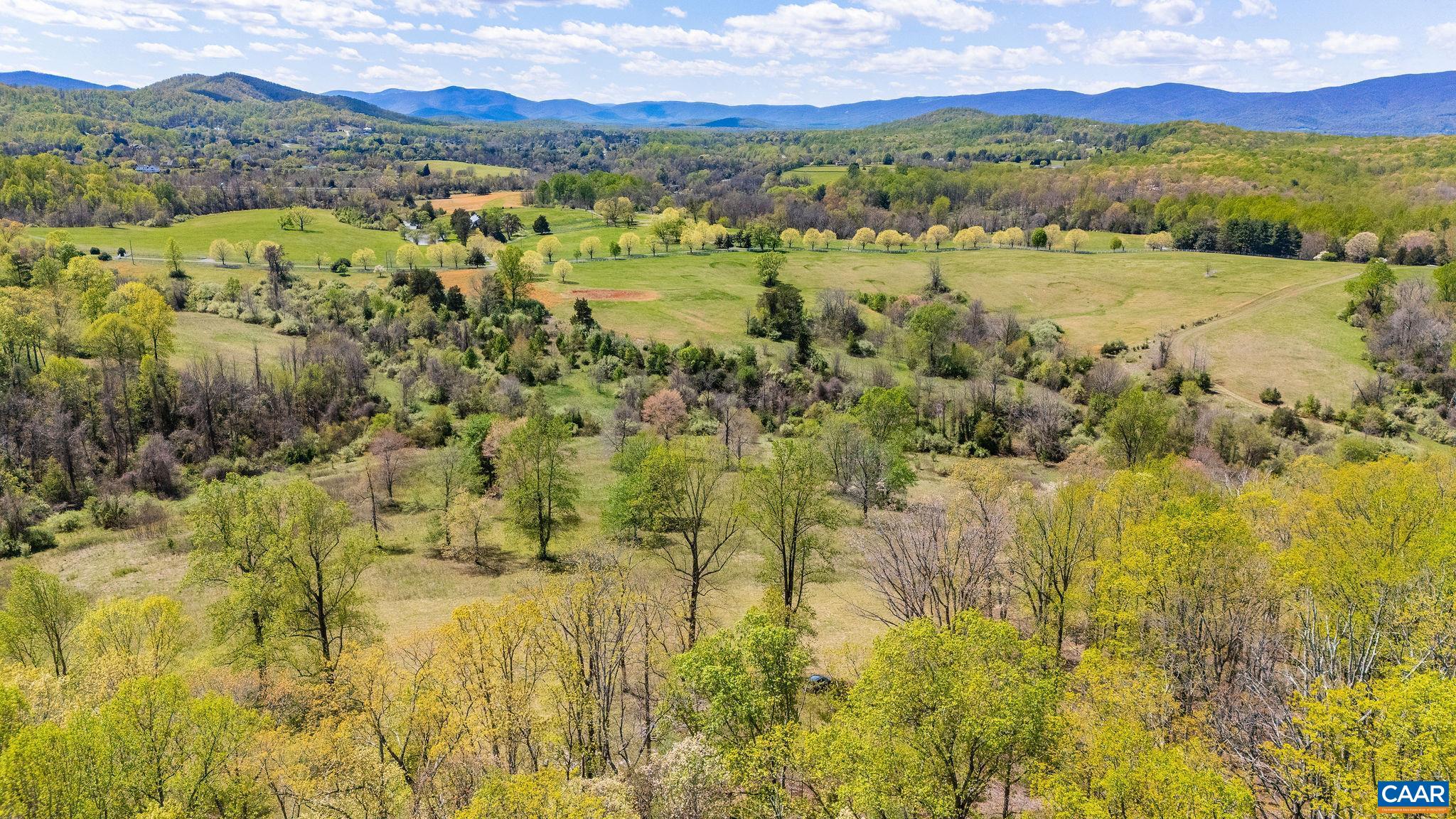 21-acres Tbb Bloomfield Road Charlottesville, VA 22903 - Photo 4 of 12