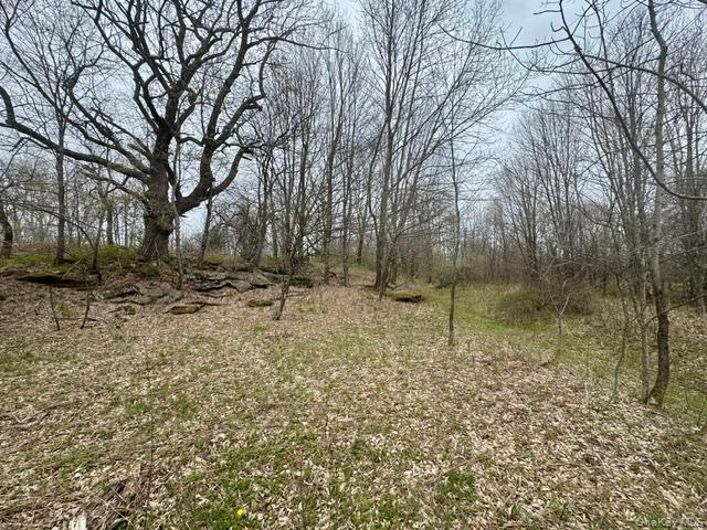 Lot 4 Shaver Hill Road Meridale, NY 13806 - Photo 44 of 45 Gallery Image 44