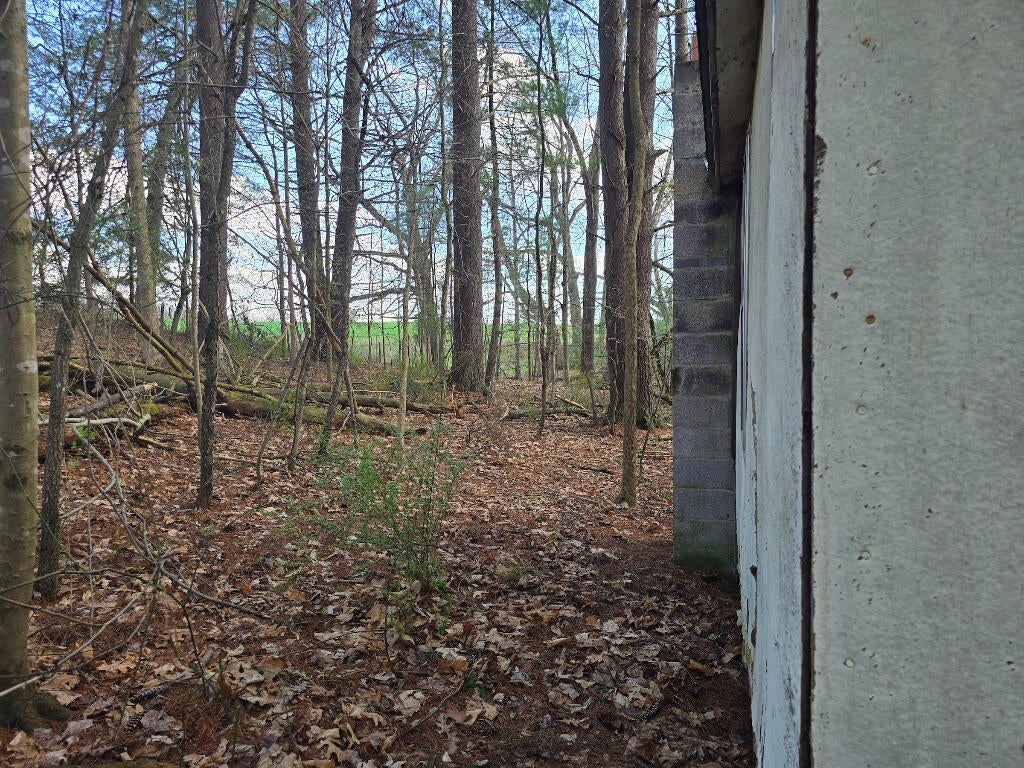 4194 Slab Camp Road Renick, WV 24966 - Photo 16 of 22 Gallery Image 16