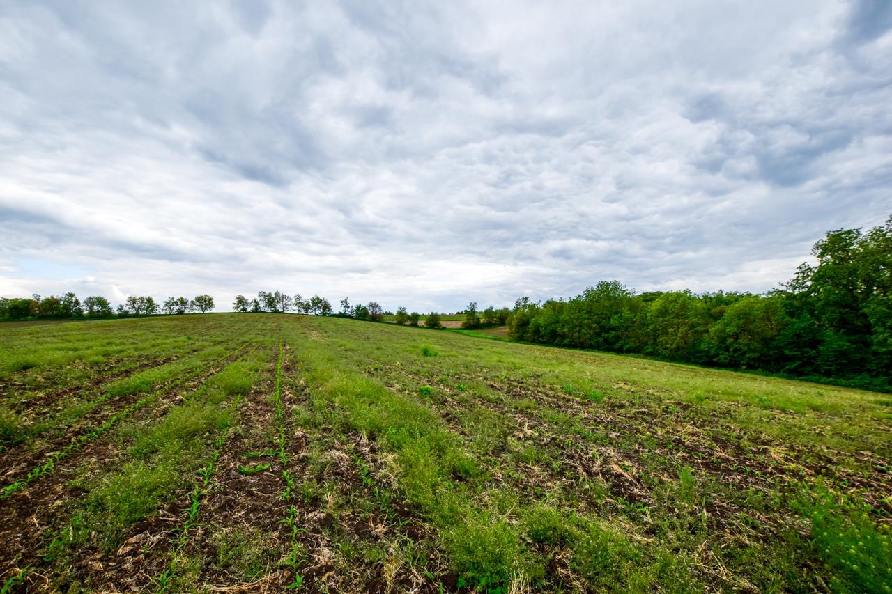 Lot 3 Dividing Ridge Monticello, WI 53570 - Photo 7 of 13