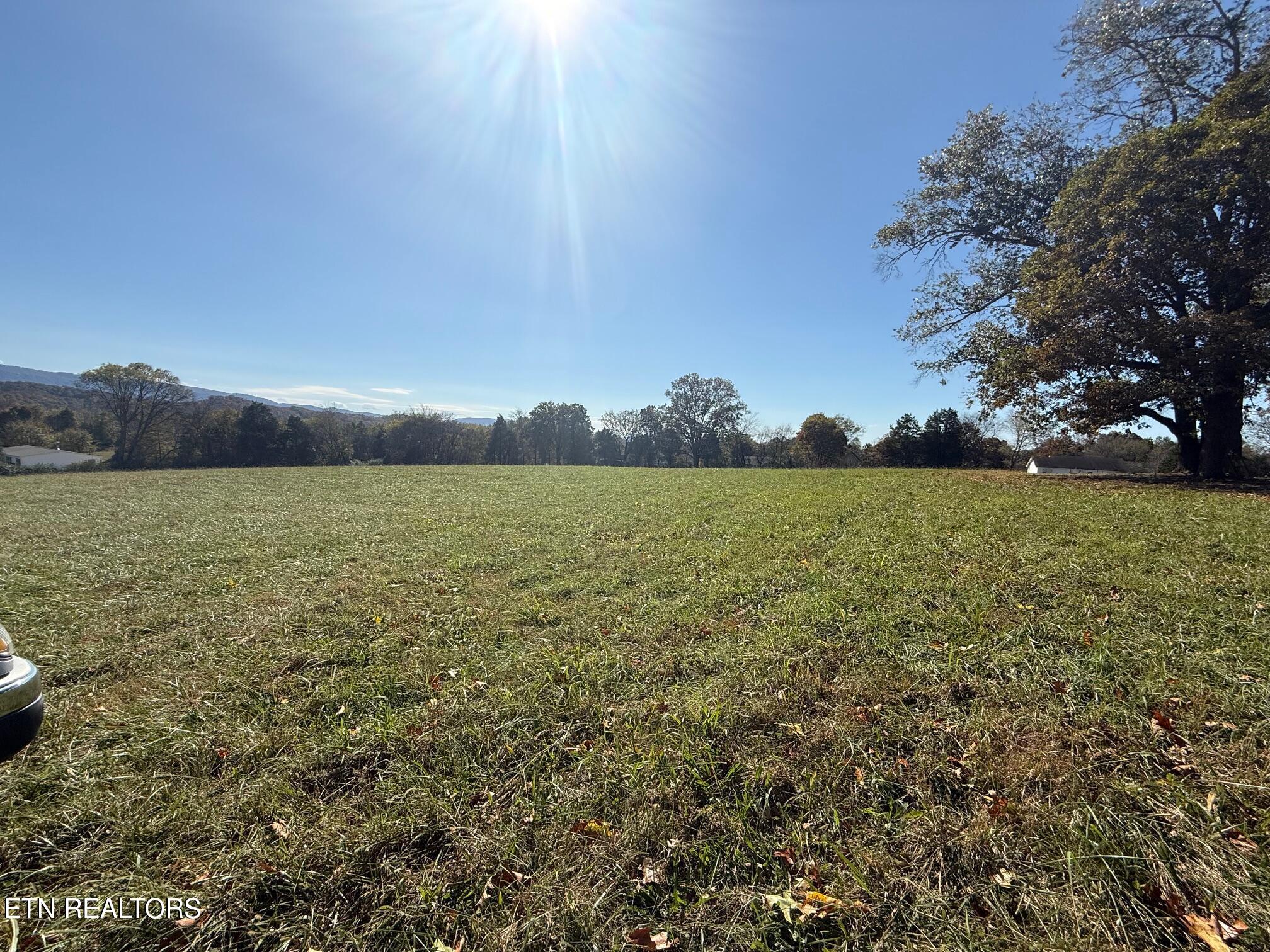 Temple Road Seymour, TN 37865 - Photo 4 of 5 IMG_5185