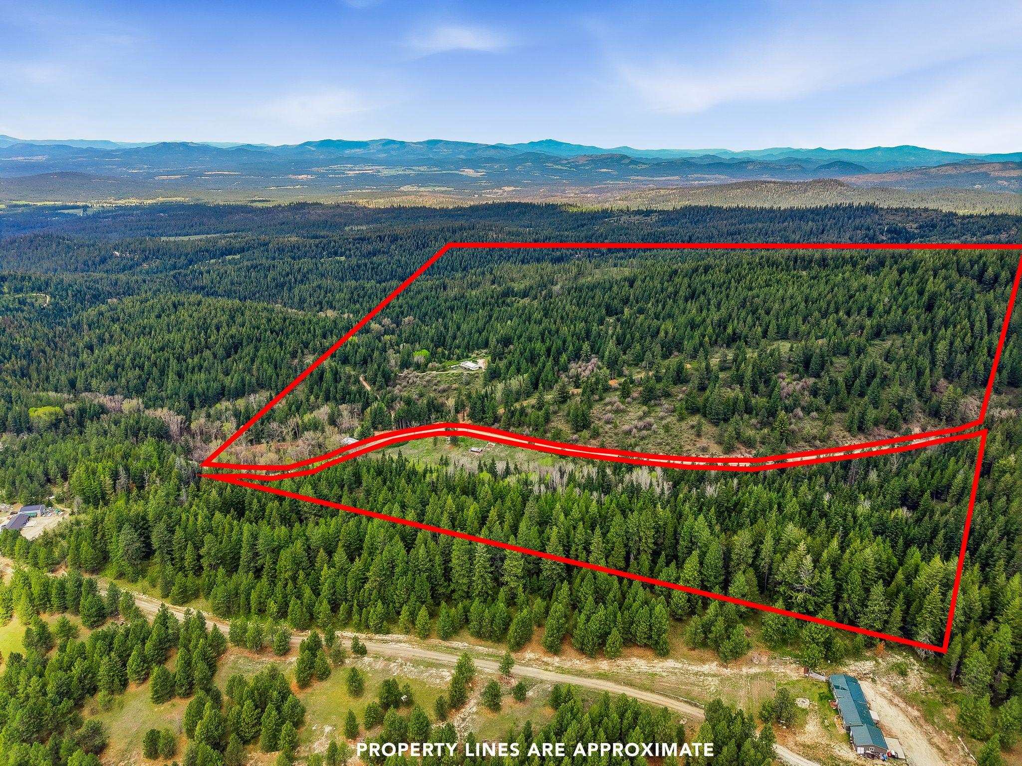 16617 East Blanchard Road Chattaroy, WA 99003 - Photo 2 of 16