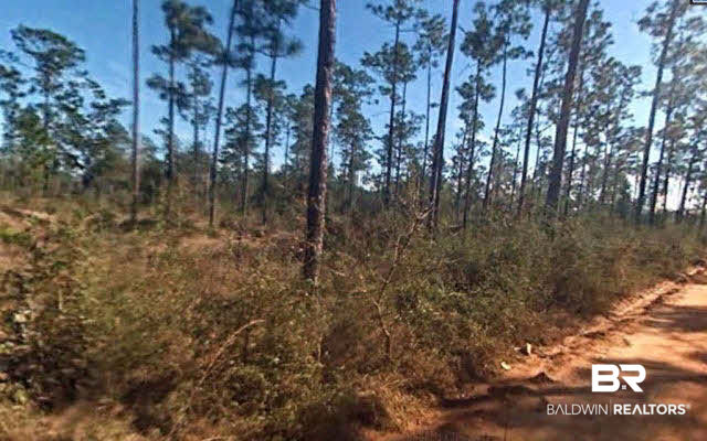 8506 River Road North Foley, AL 36535 - Photo 3 of 4
