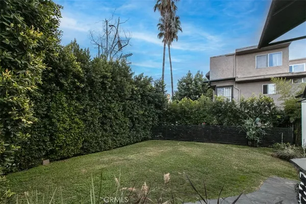 a view of a yard with plants