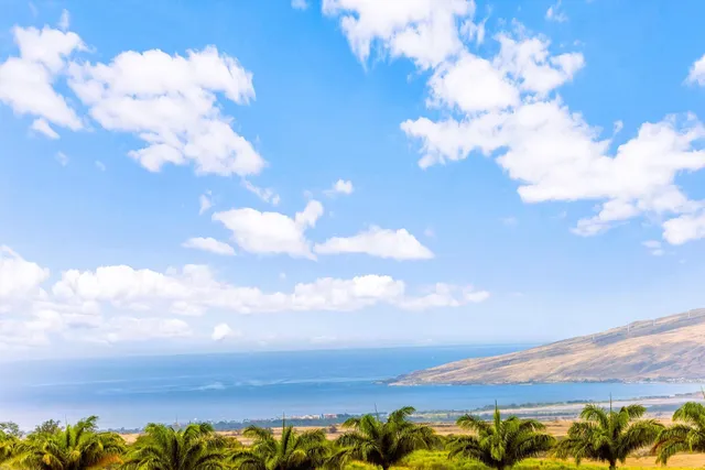 $2,995,000 | 3446 Omaopio Road, Kula, HI 96790