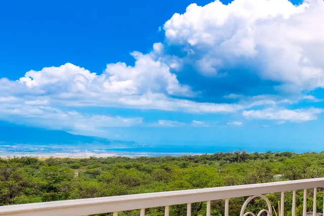 $2,995,000 | 3446 Omaopio Road, Kula, HI 96790