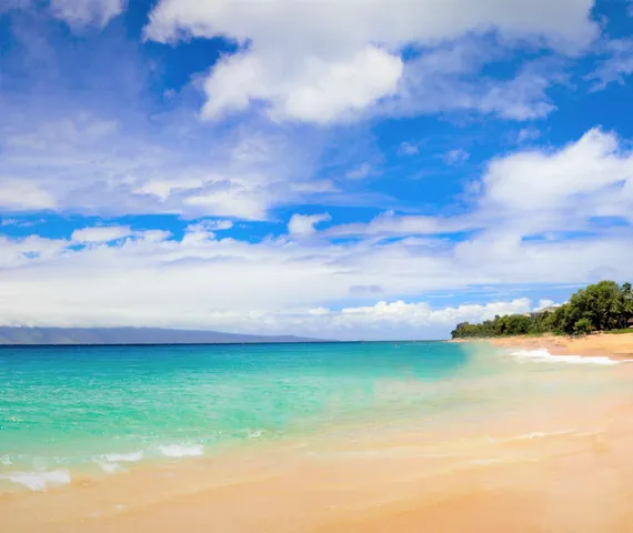 $2,995,000 | 3446 Omaopio Road, Kula, HI 96790