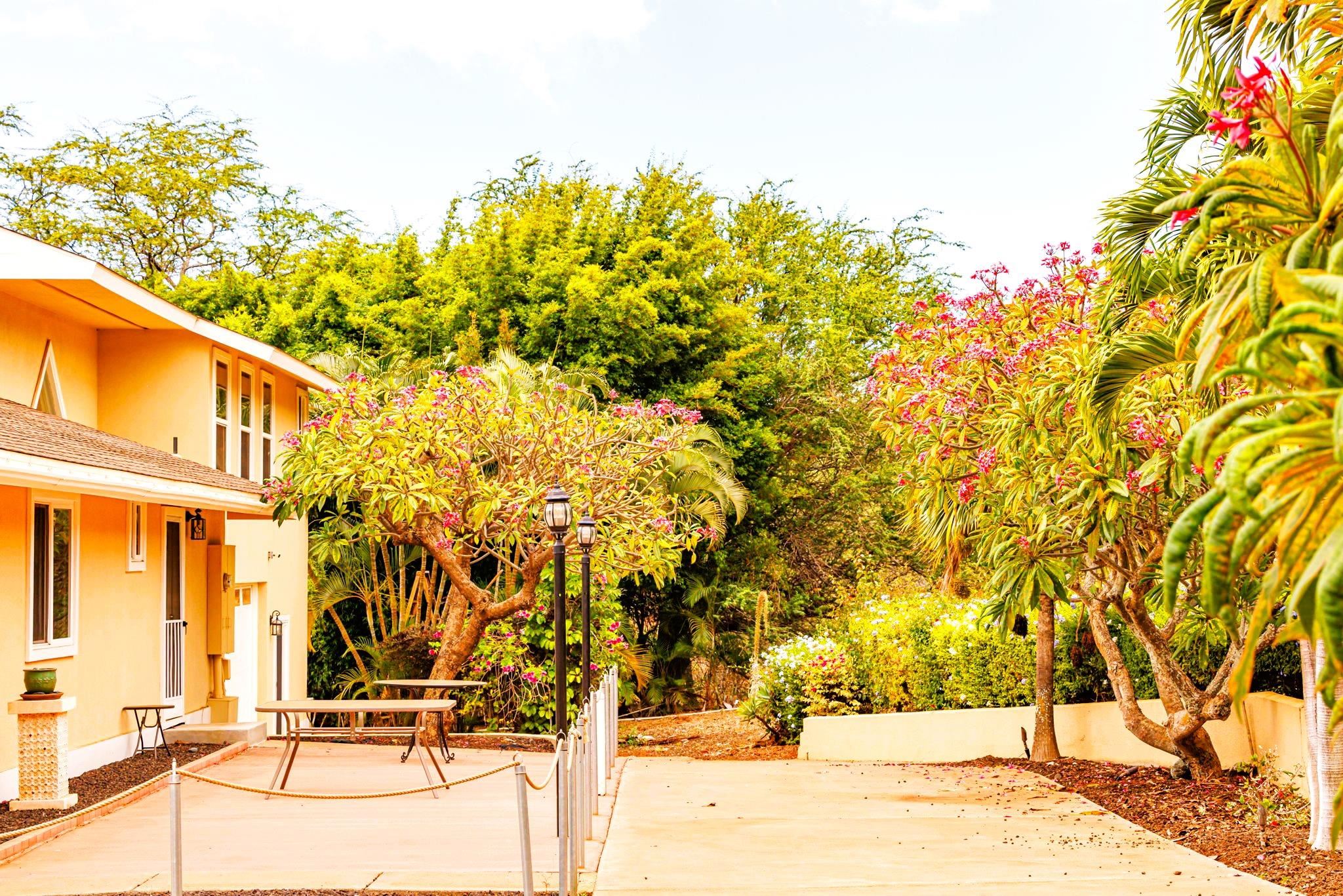 3446 Omaopio Road Kula, HI 96790 - Photo 39 of 49