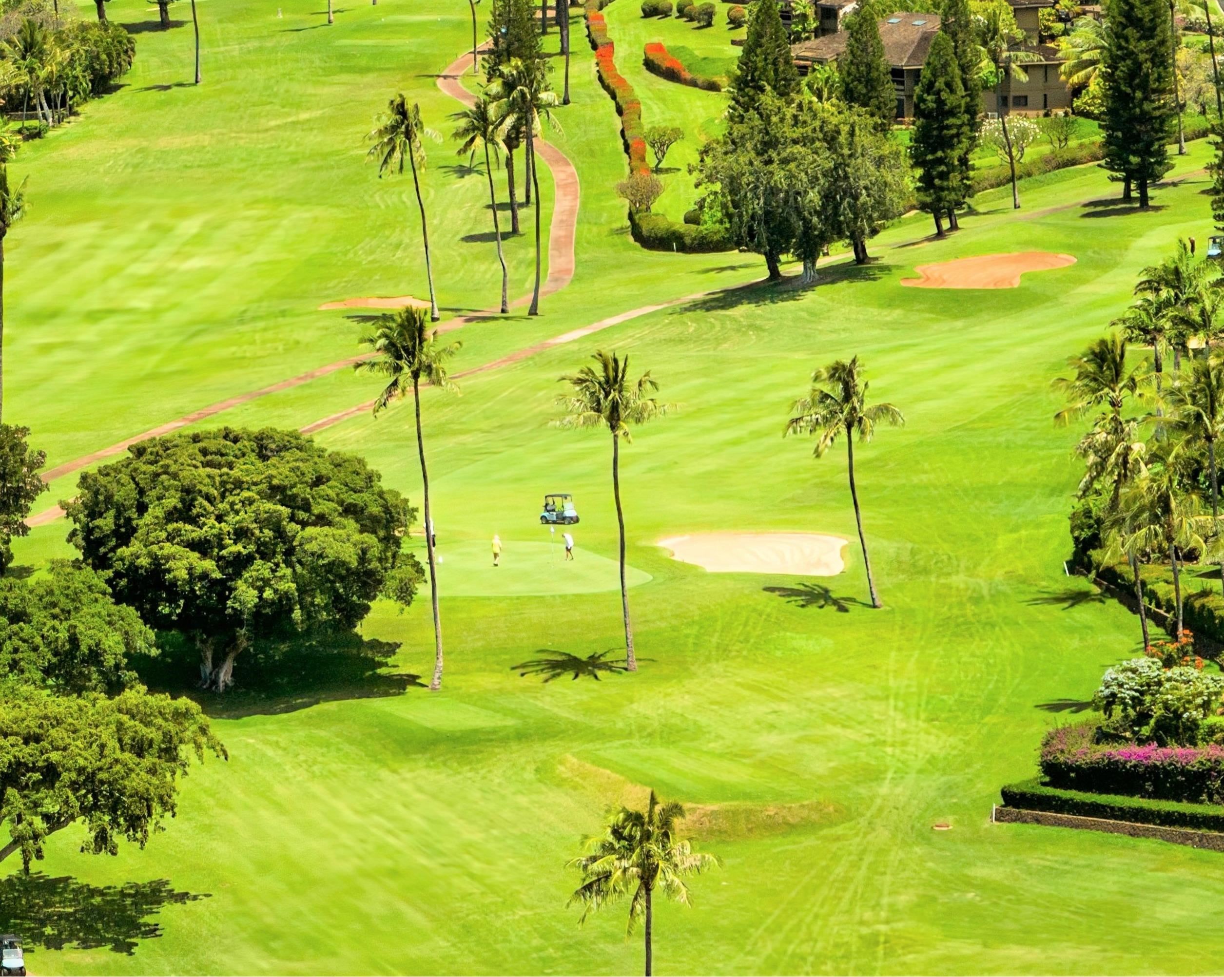 3446 Omaopio Road Kula, HI 96790 - Photo 47 of 49 Golf Courses and Country Club