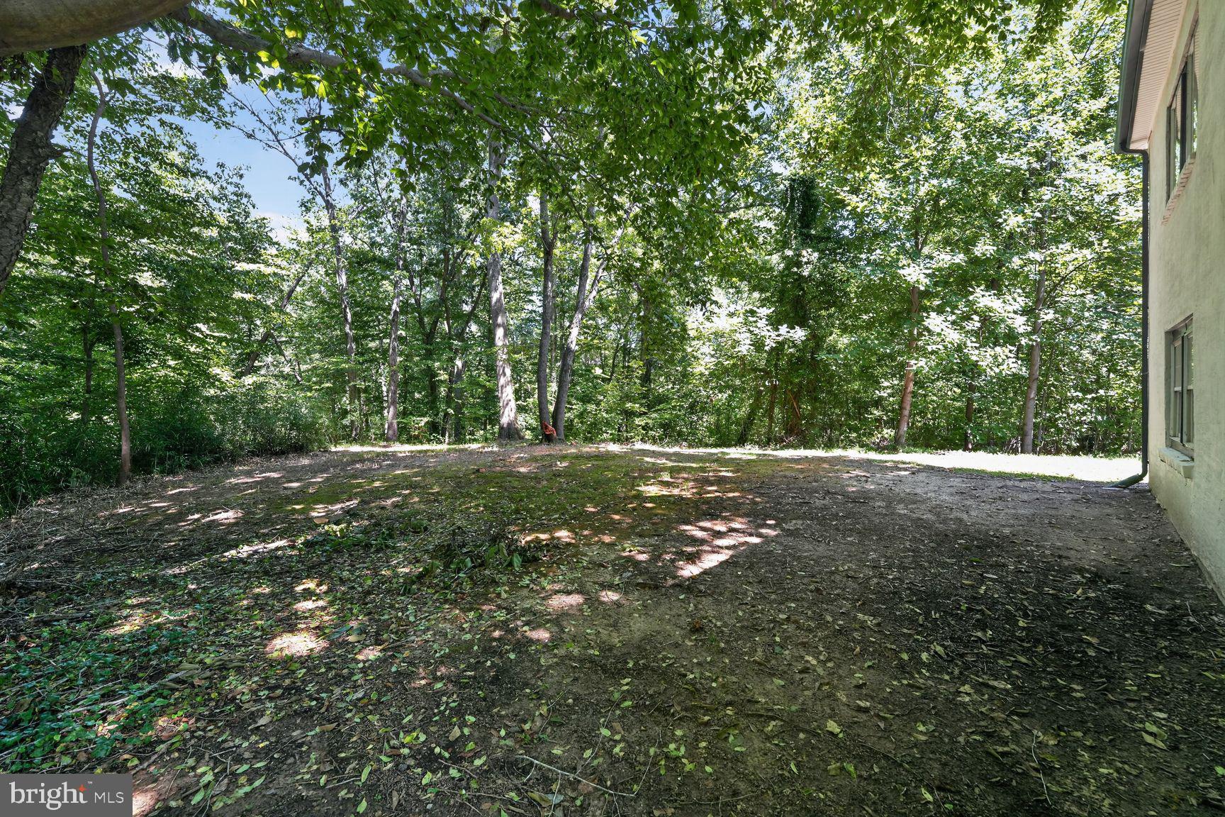 4150 Sweetman Road Marbury, MD 20658 - Photo 26 of 33 Serene wooded retreat awaits you.