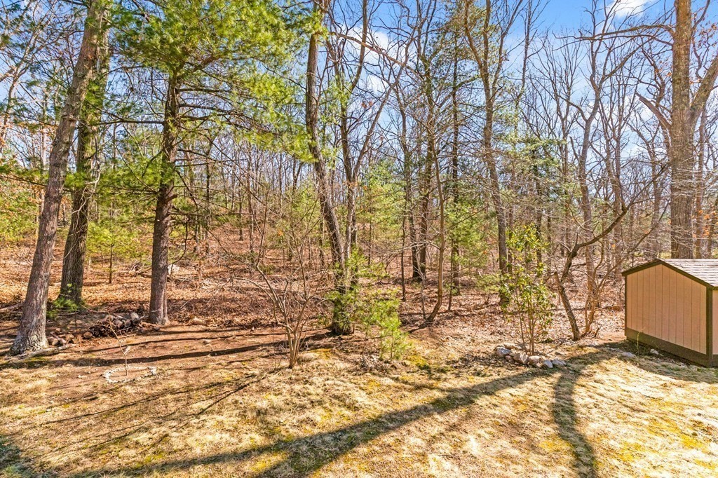 28 Falcon Road Sharon, MA 02067 - Photo 33 of 35