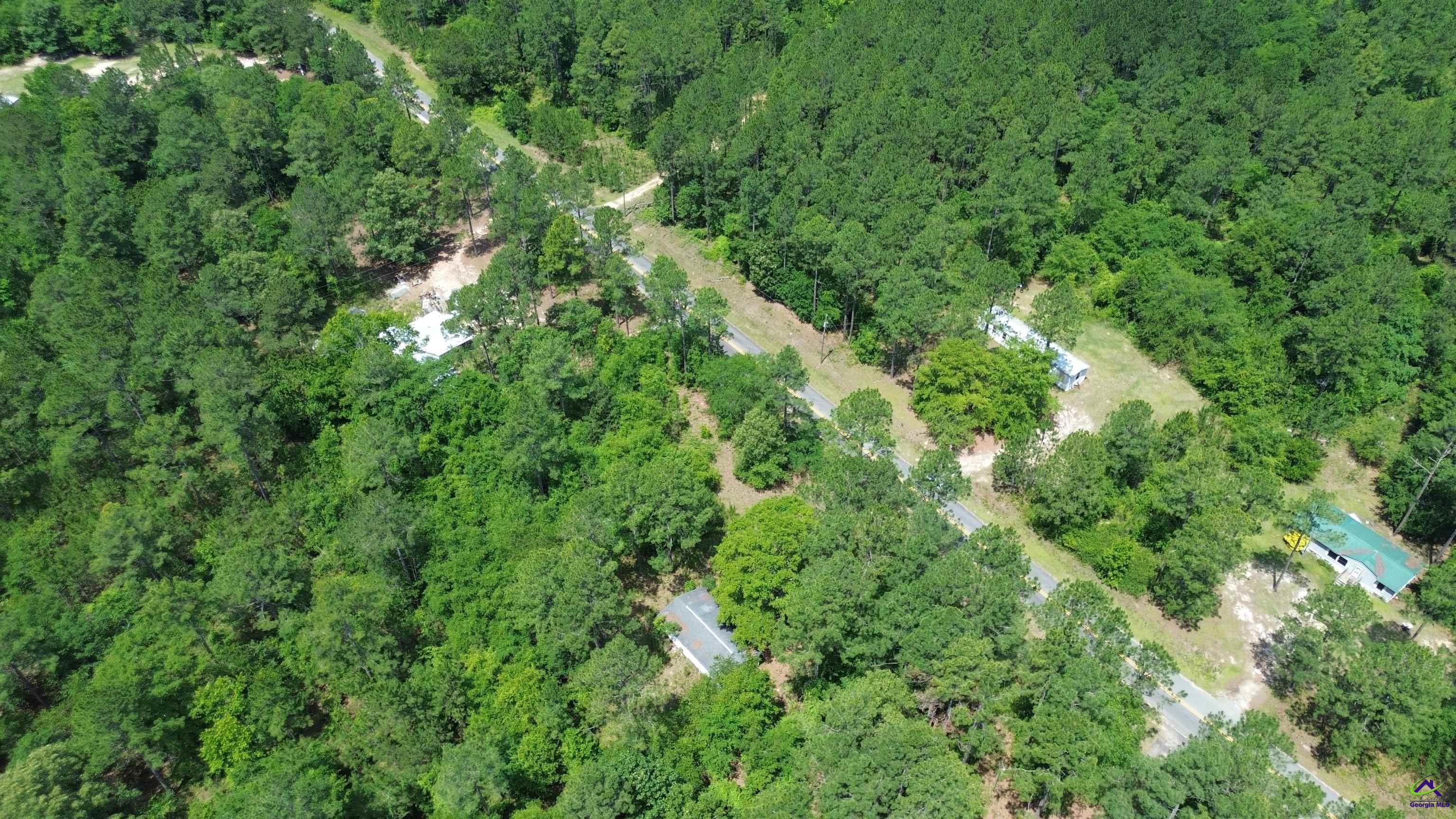 Rock Hill Road Cochran, GA 31014 - Photo 6 of 26 a view of a lush green forest with lawn chairs and plants