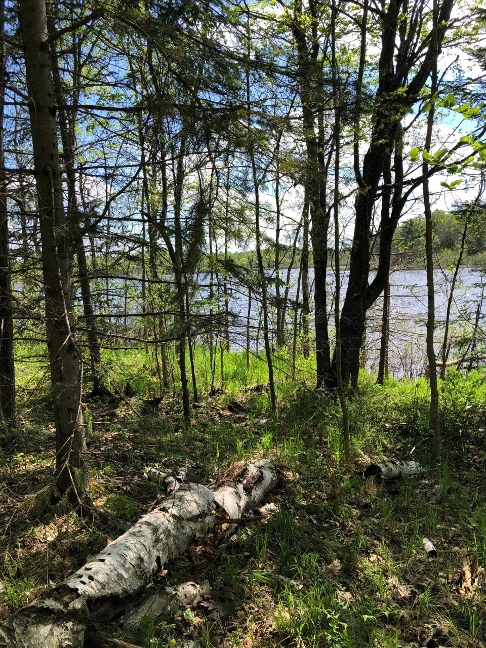 Lot 2 Kling Road Presque Isle, WI 54557 - Photo 9 of 18 Gallery Image 9