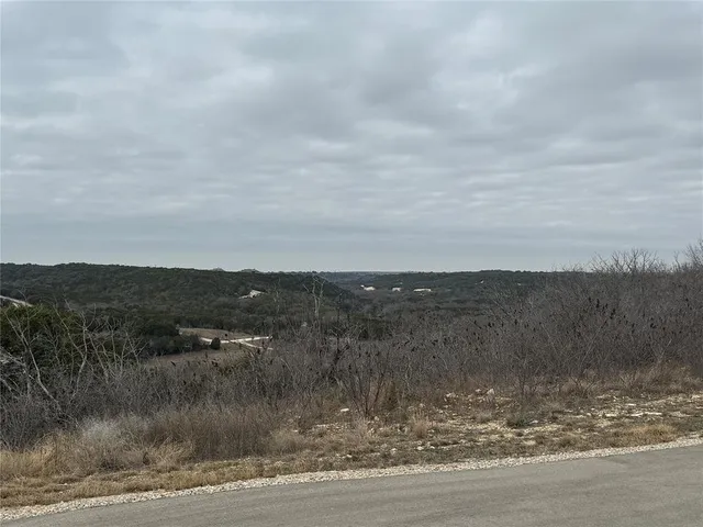 a view of a bunch of trees and bushes
