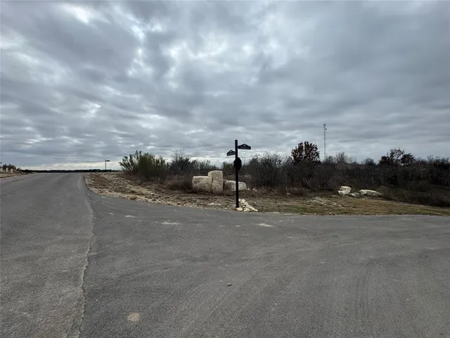 a view of a city street with tall trees