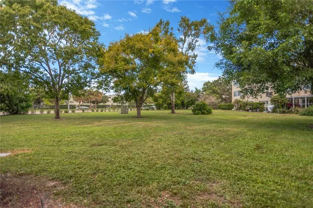 a view of a green field