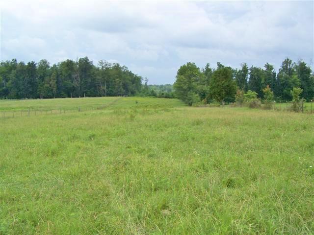 0 Lynn Road Morrison, TN 37357 - Photo 1 of 2 a view of a field with trees in the background