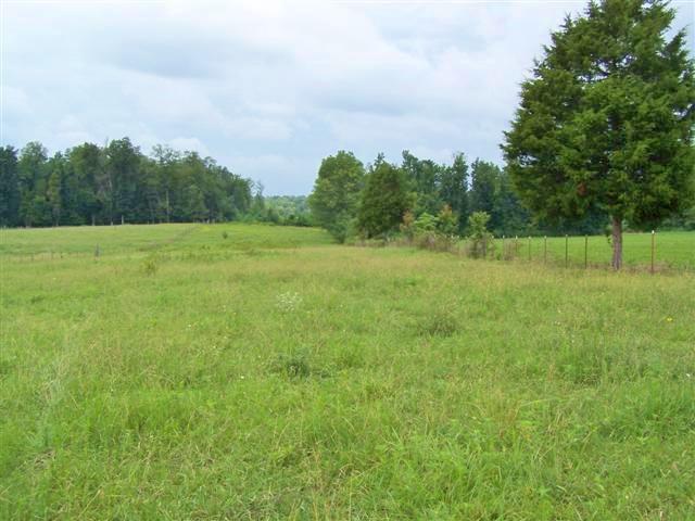 0 Lynn Road Morrison, TN 37357 - Photo 2 of 2 a view of outdoor space with green field and trees