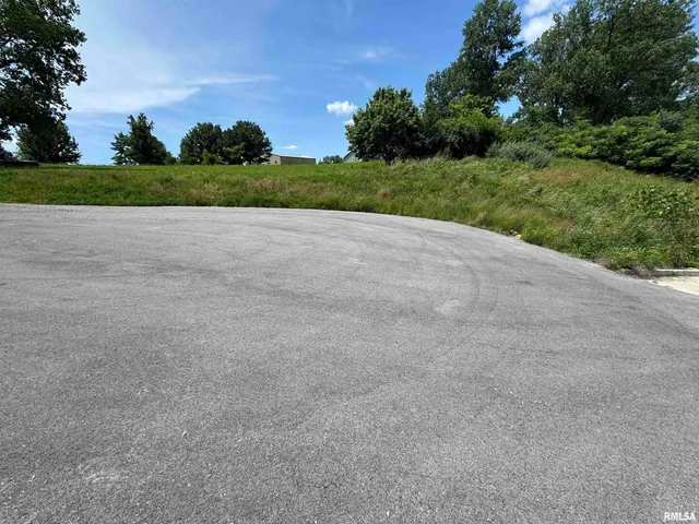 a view of a lake with mountain in the background