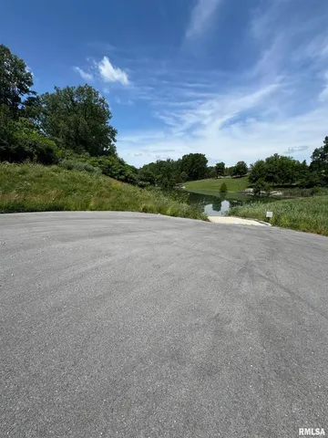 a view of a big yard with potted plants