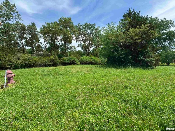 a view of a garden