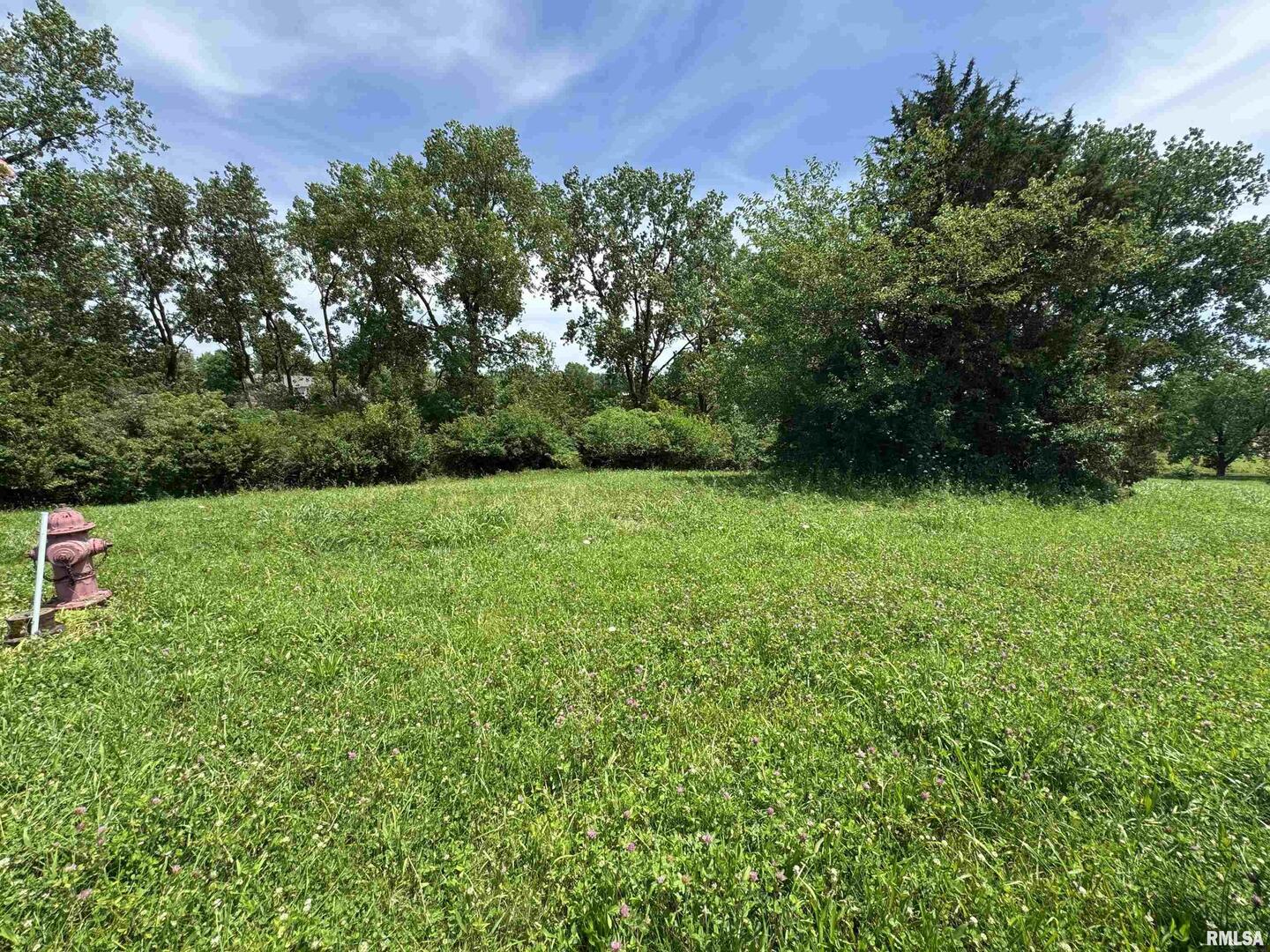 0 Yellow Brick Road Du Quoin, IL 62832 - Photo 2 of 13