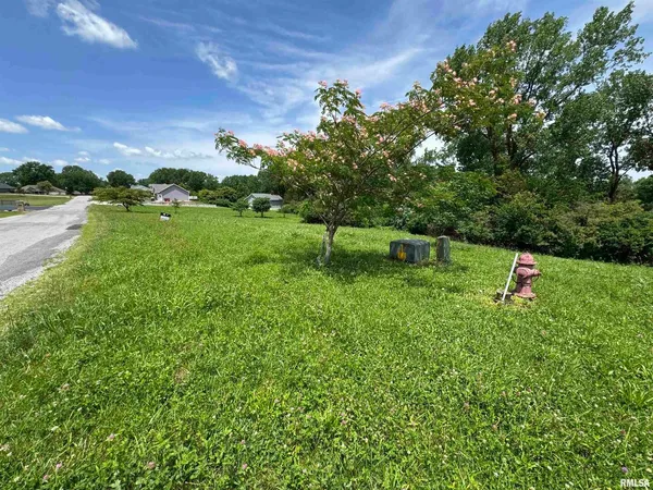 a green field with lots of bushes