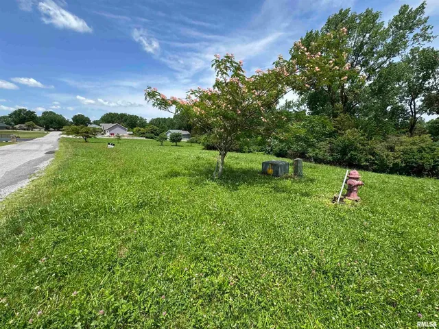 a green field with lots of bushes