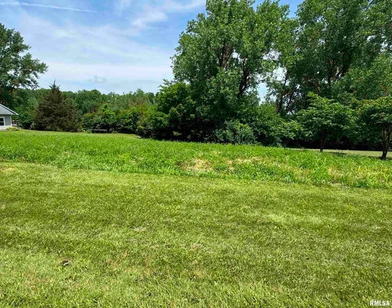 a view of field with trees in the background