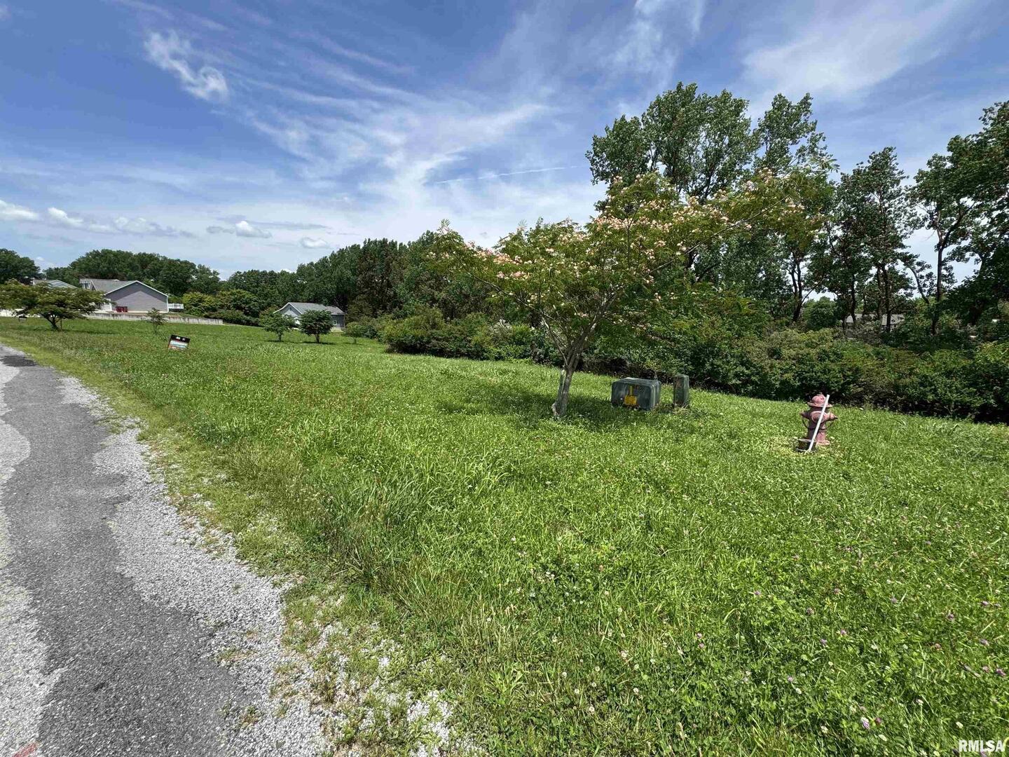 0 Yellow Brick Road Du Quoin, IL 62832 - Photo 5 of 13