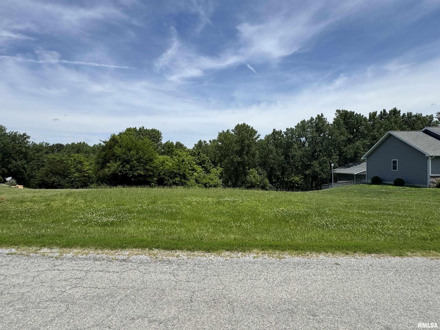 0 Yellow Brick Road Du Quoin, IL 62832 - Photo 6 of 13