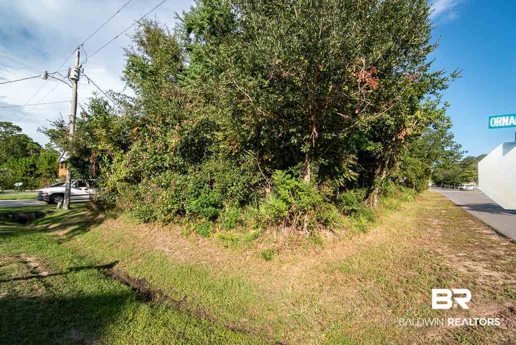 Ornacor Avenue Orange Beach, AL 36561 - Photo 3 of 18