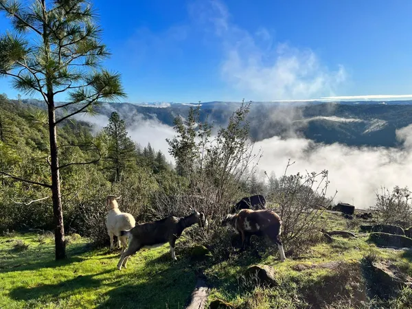 $899,000 | 1581 Moccasin Trail, Placerville, CA 95667