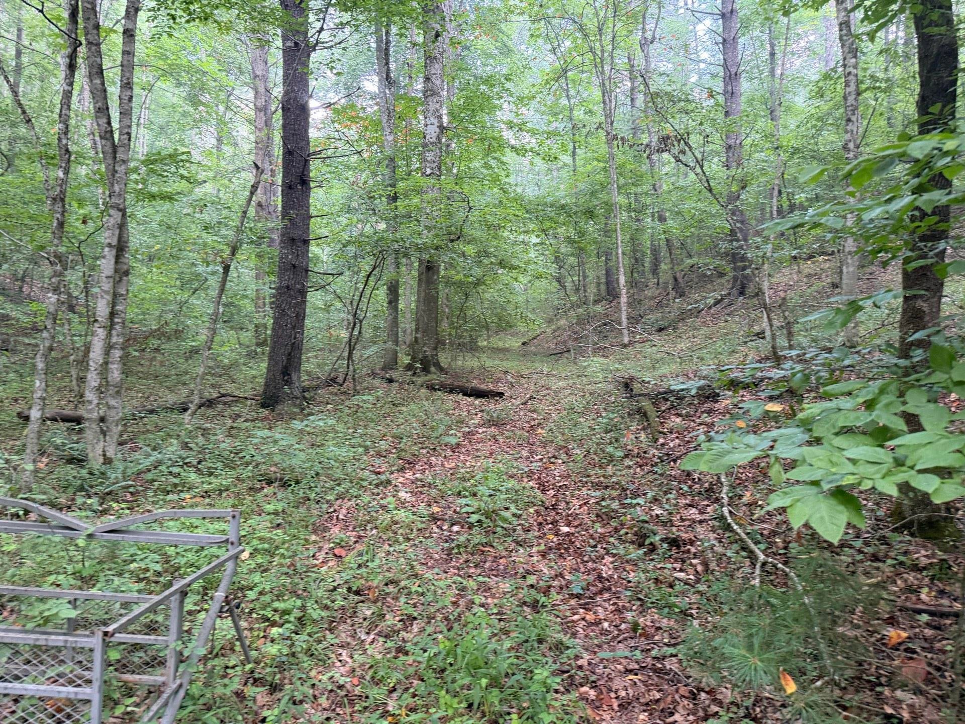 Tbd Short Ridge Drive Bland, VA 24315 - Photo 41 of 125 Gallery Image 41