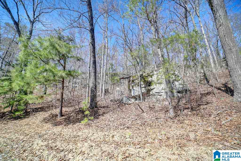 39080 Highway 231 Steele, AL 35987 - Photo 32 of 37