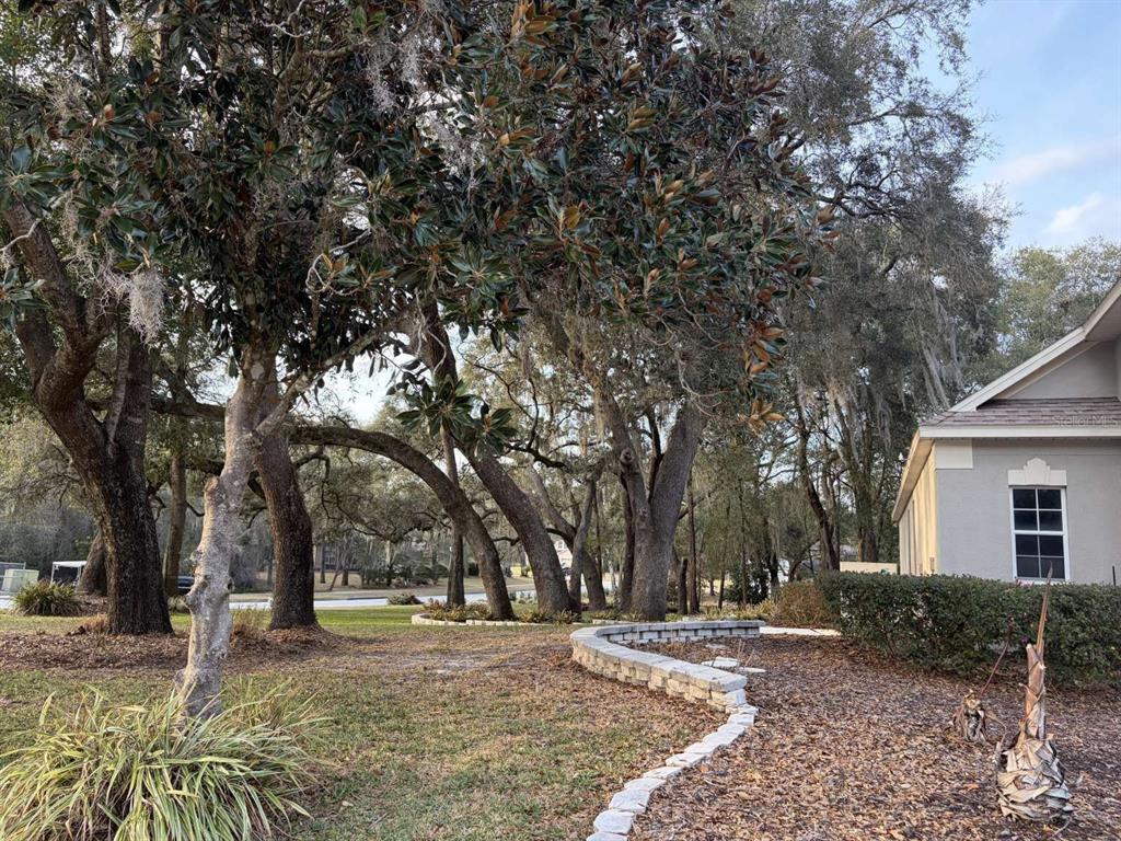 597 Sand Wedge Loop Apopka, FL 32712 - Photo 57 of 71