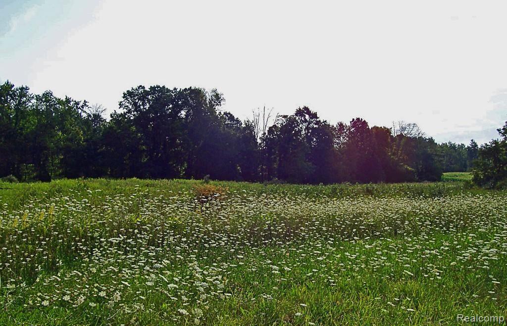 0 Townhall Road Fenwick, MI 48834 - Photo 1 of 9