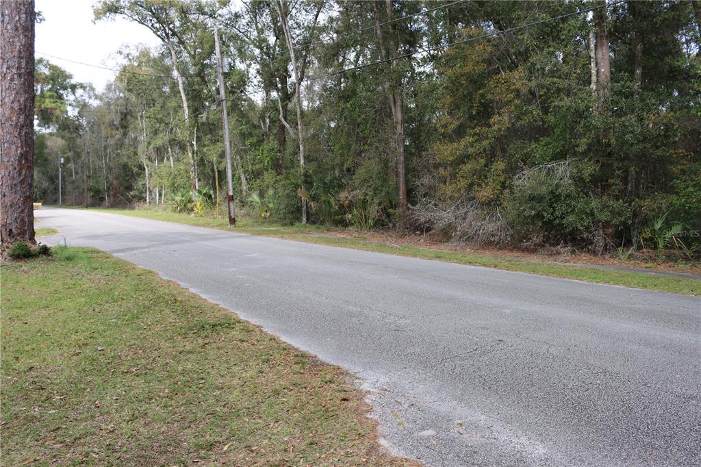 1845 Lemon Street DeLand, FL 32720 - Photo 1 of 2 a view of a yard with large trees
