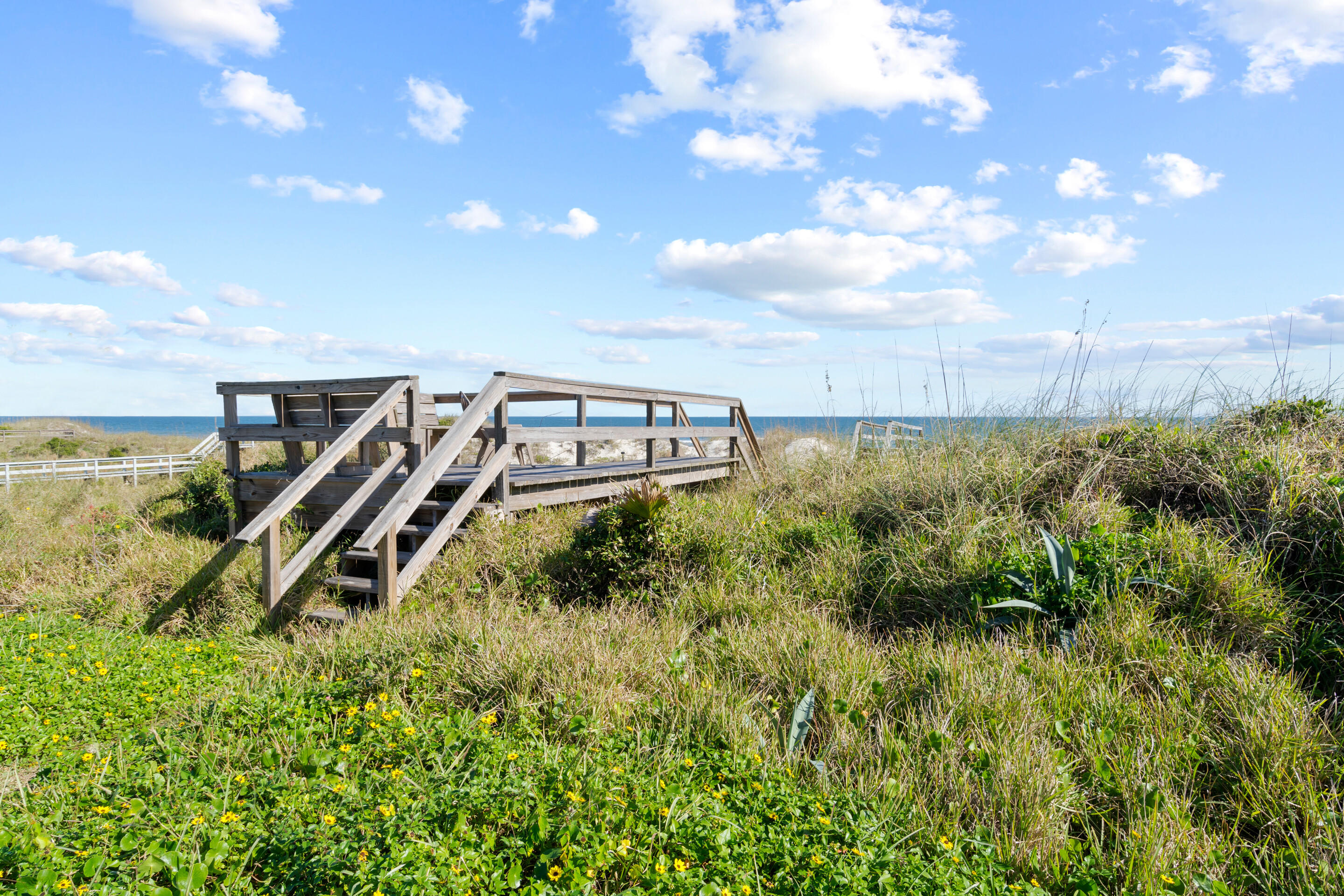 50 Cubbedge Road St. Augustine, FL 32080 - Photo 9 of 26 a view of a garden with a building in the background