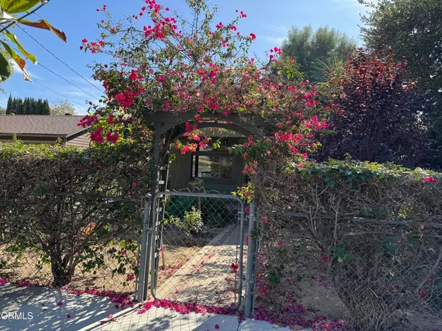 a view of a flower in a garden