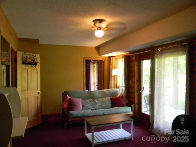 1425 Sorrells Cove Road Clyde, NC 28721 - Photo 14 of 22