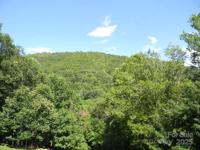 1425 Sorrells Cove Road Clyde, NC 28721 - Photo 21 of 22