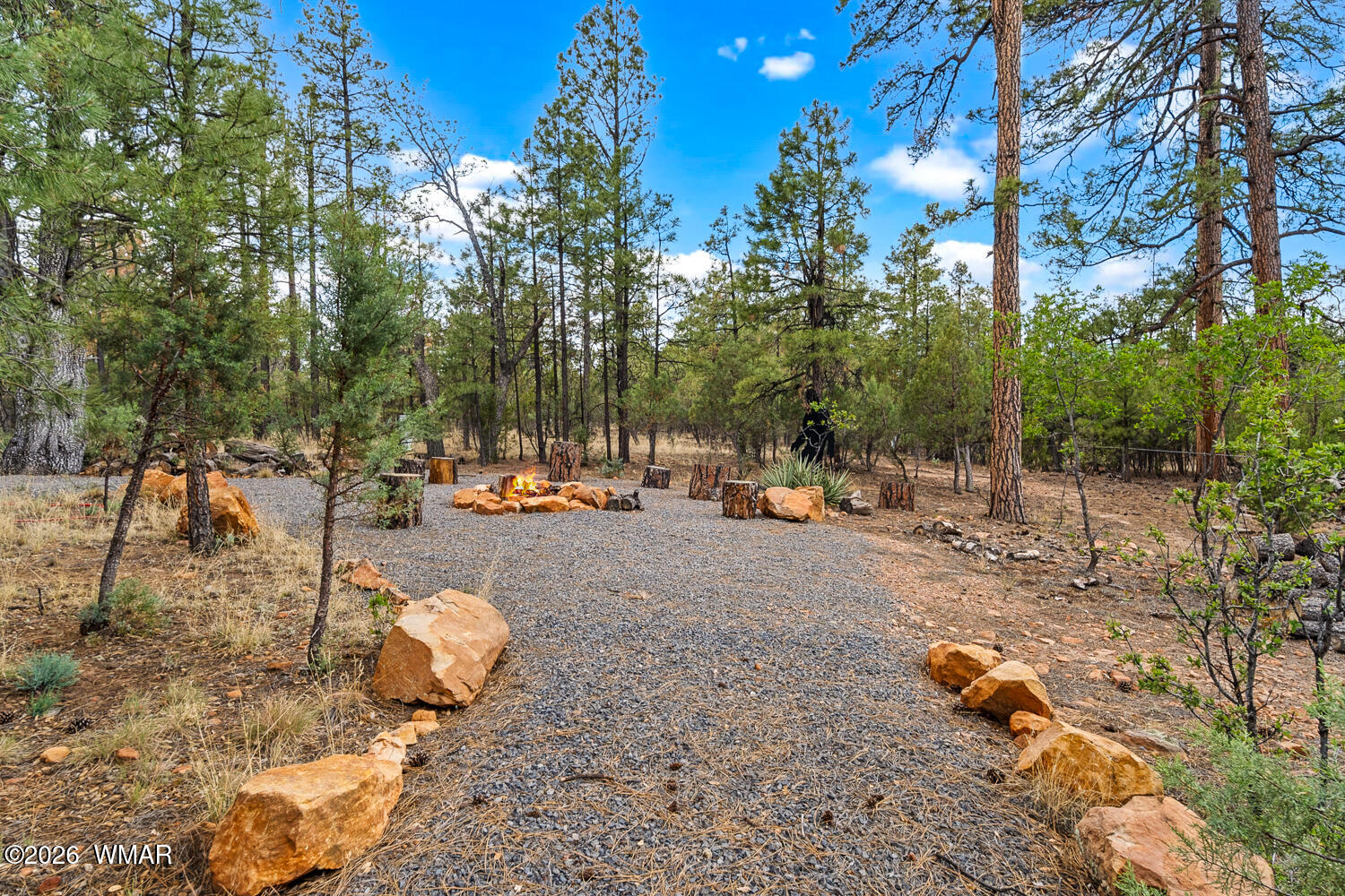 1980 Spring Creek Lane Overgaard, AZ 85933 - Photo 58 of 64 Outside Path
