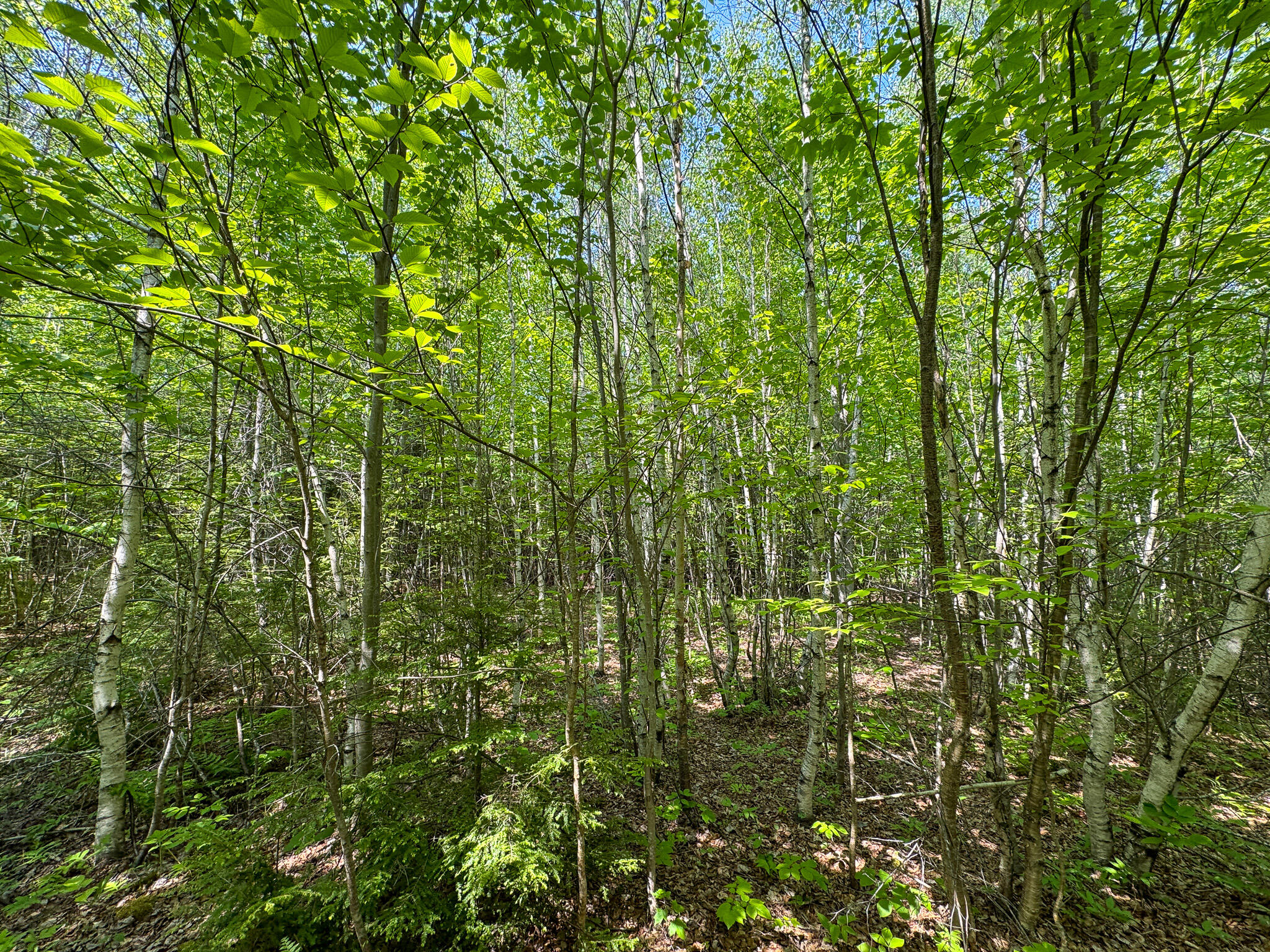 M1-l2 Bunker Hill Road Lagrange, ME 04453 - Photo 10 of 13 10